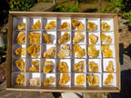 Natural Golden Limonite Quartz Crystal Plates x 46 From Solwezi, Zambia - Toprock Gemstones and Minerals 