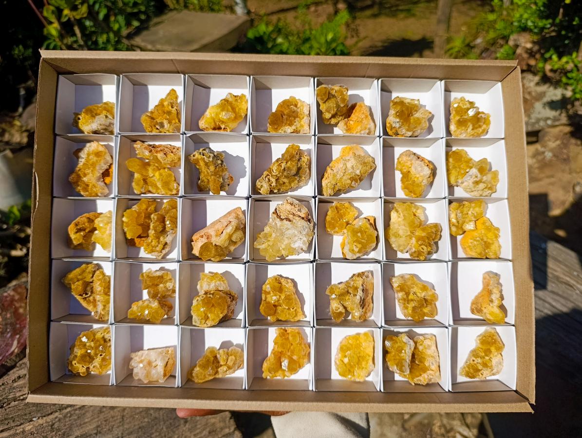 Natural Golden Limonite Quartz Crystal Plates x 46 From Solwezi, Zambia - Toprock Gemstones and Minerals 