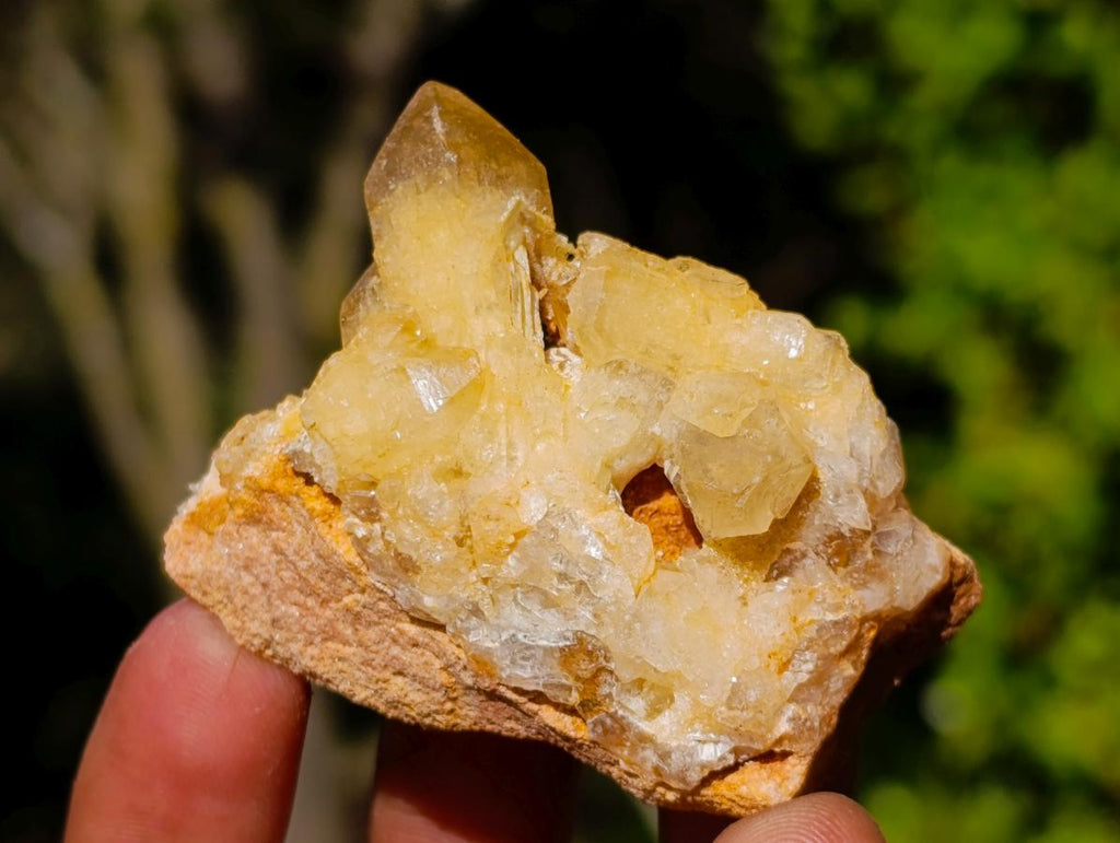 Natural Golden Limonite Quartz Crystal Plates x 46 From Solwezi, Zambia - Toprock Gemstones and Minerals 