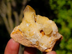 Natural Golden Limonite Quartz Crystal Plates x 46 From Solwezi, Zambia - Toprock Gemstones and Minerals 
