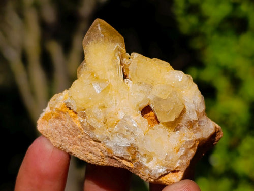 Natural Golden Limonite Quartz Crystal Plates x 46 From Solwezi, Zambia - Toprock Gemstones and Minerals 