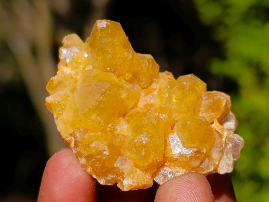 Natural Golden Limonite Quartz Crystal Plates x 46 From Solwezi, Zambia - Toprock Gemstones and Minerals 