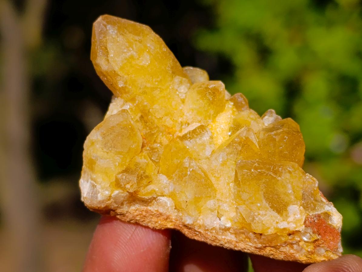 Natural Golden Limonite Quartz Crystal Plates x 46 From Solwezi, Zambia - Toprock Gemstones and Minerals 