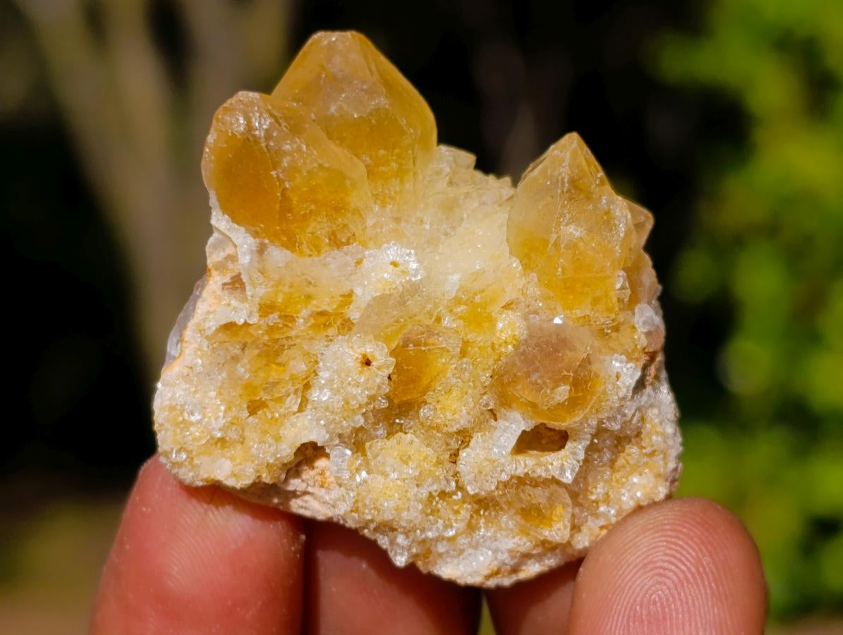 Natural Golden Limonite Quartz Crystal Plates x 46 From Solwezi, Zambia - Toprock Gemstones and Minerals 