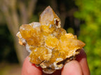Natural Golden Limonite Quartz Crystal Plates x 46 From Solwezi, Zambia - Toprock Gemstones and Minerals 