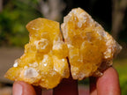 Natural Golden Limonite Quartz Crystal Plates x 46 From Solwezi, Zambia - Toprock Gemstones and Minerals 