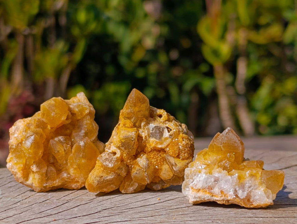 Natural Golden Limonite Quartz Crystal Plates x 46 From Solwezi, Zambia - Toprock Gemstones and Minerals 