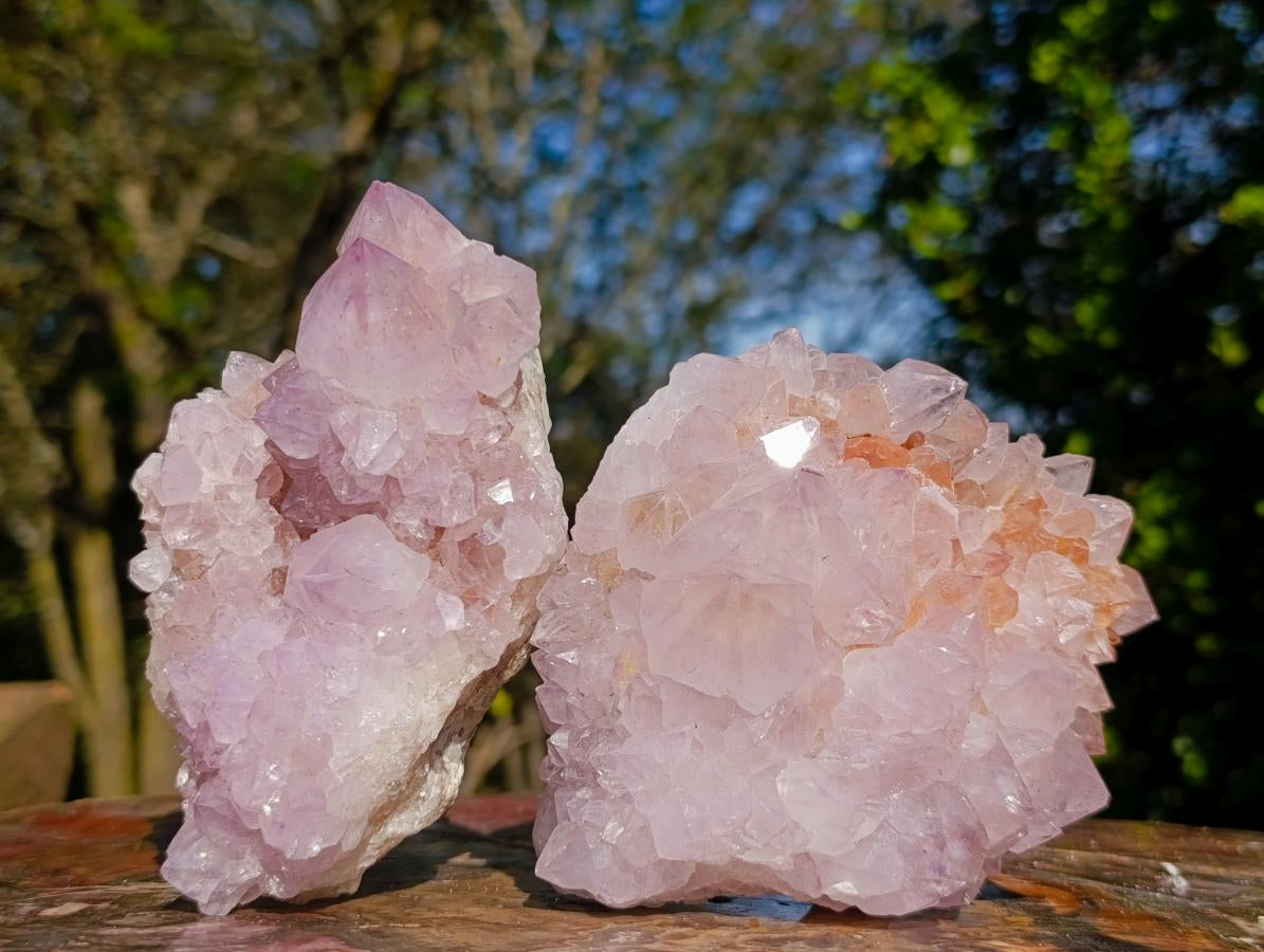 Natural Spirit Amethyst Clusters x 2 From Boekenhouthoek, South Africa - Toprock Gemstones and Minerals 