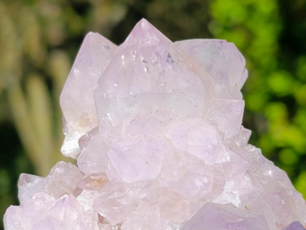 Natural Spirit Amethyst Clusters x 2 From Boekenhouthoek, South Africa - Toprock Gemstones and Minerals 