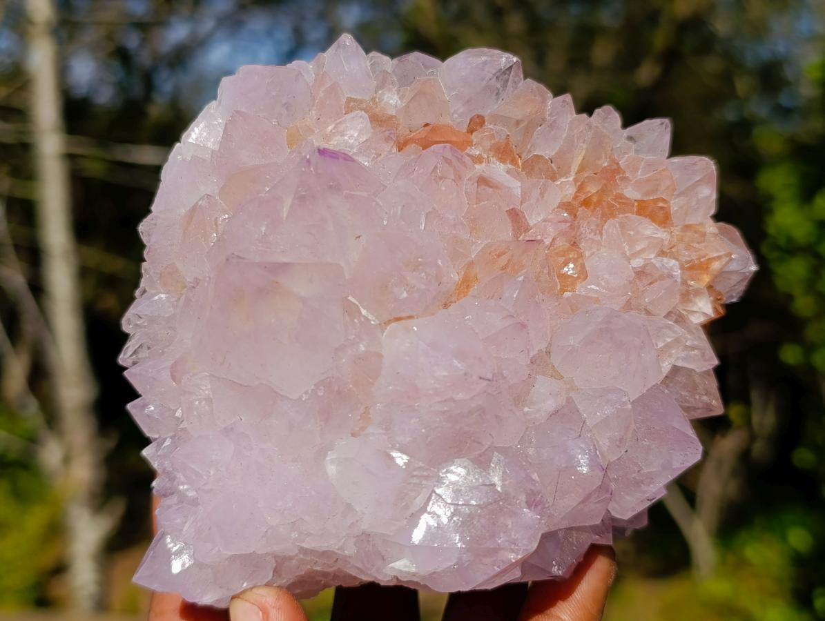 Natural Spirit Amethyst Clusters x 2 From Boekenhouthoek, South Africa - Toprock Gemstones and Minerals 
