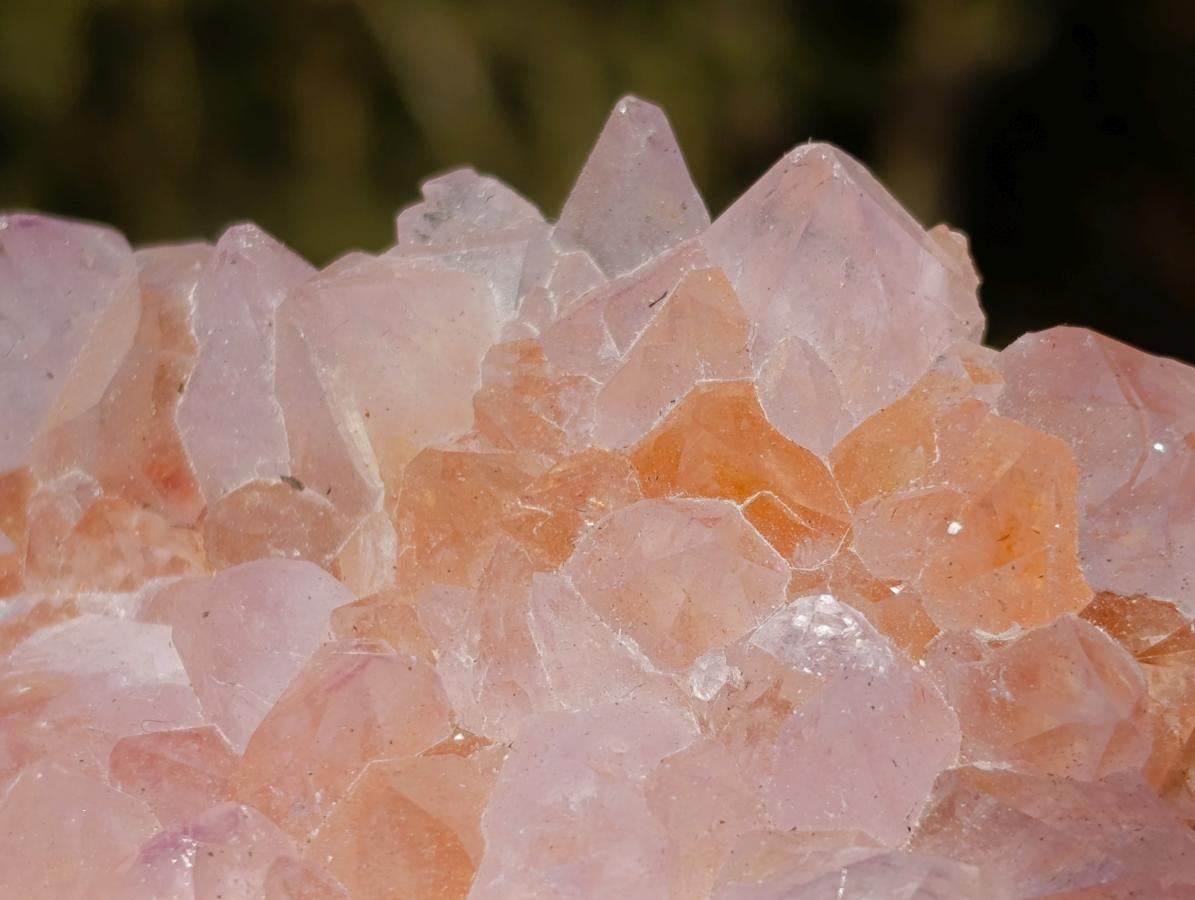 Natural Spirit Amethyst Clusters x 2 From Boekenhouthoek, South Africa - Toprock Gemstones and Minerals 