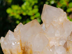 Natural Cascading White Phantom Smokey Luena Quartz Clusters x 2 From Luena, Congo - Toprock Gemstones and Minerals 