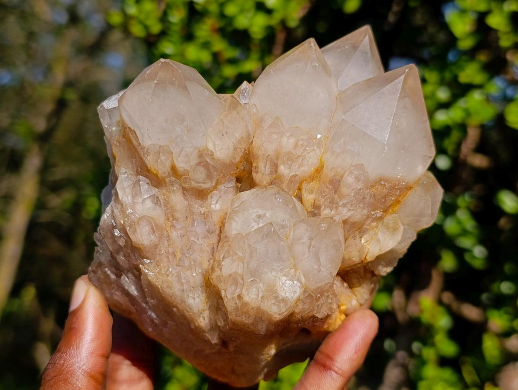 Natural Cascading White Phantom Smokey Luena Quartz Clusters x 2 From Luena, Congo - Toprock Gemstones and Minerals 
