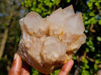 Natural Cascading White Phantom Smokey Luena Quartz Clusters x 2 From Luena, Congo - Toprock Gemstones and Minerals 