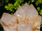 Natural Cascading White Phantom Smokey Luena Quartz Clusters x 2 From Luena, Congo - Toprock Gemstones and Minerals 
