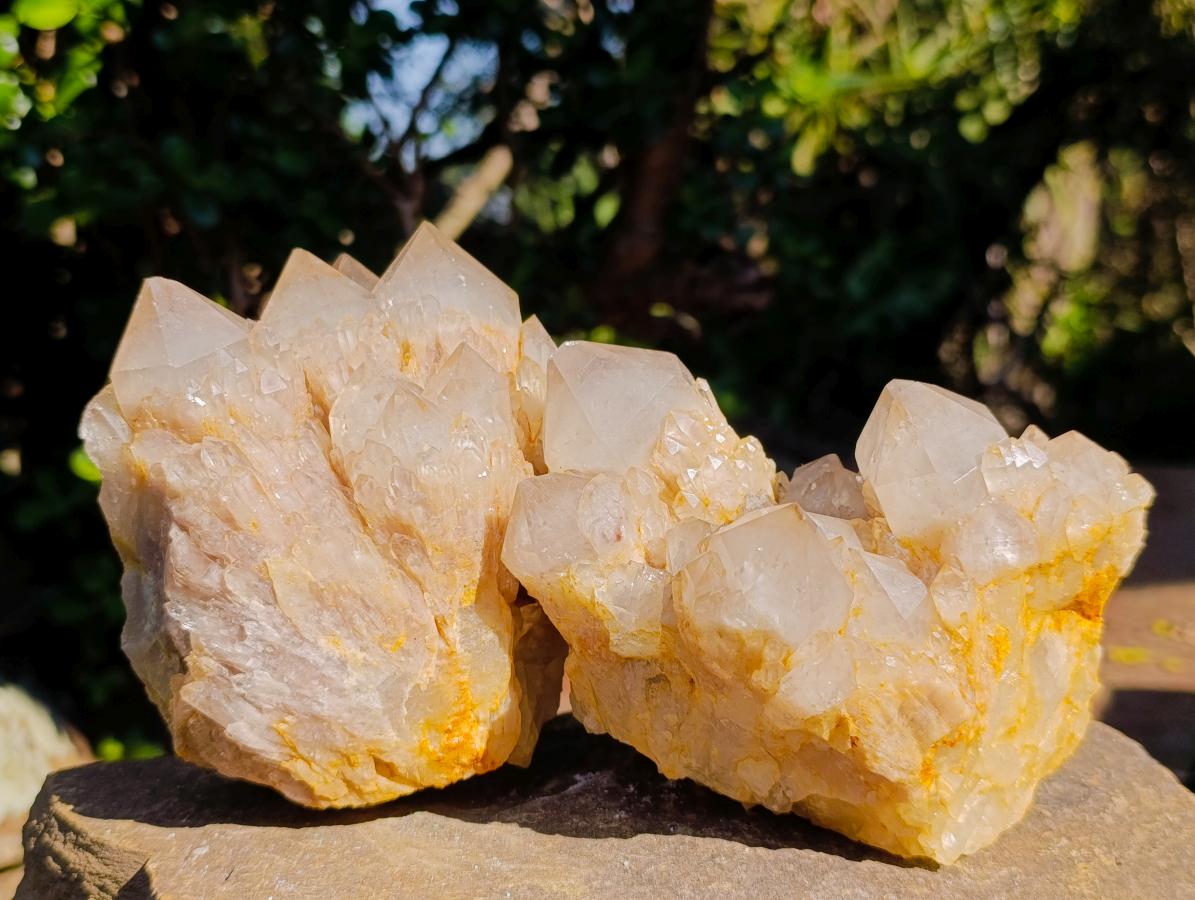 Natural Cascading White Phantom Smokey Luena Quartz Clusters x 2 From Luena, Congo - Toprock Gemstones and Minerals 
