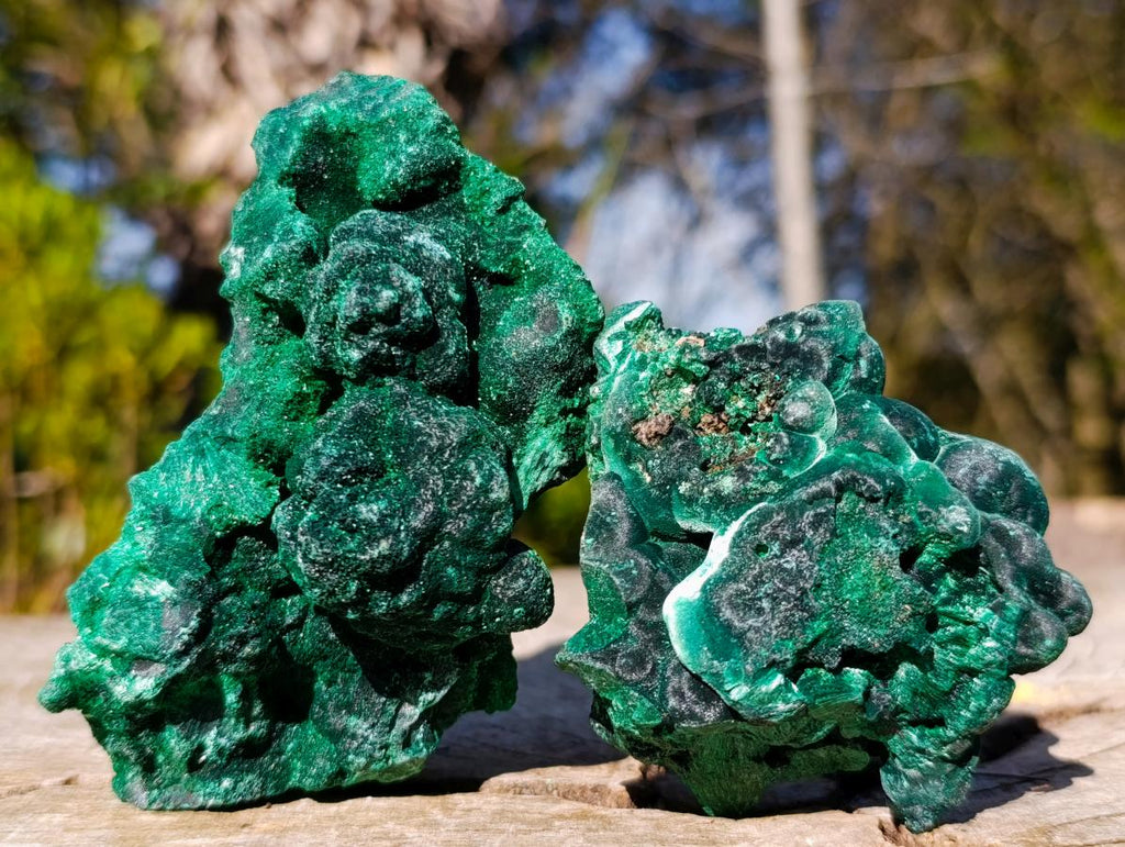 Natural Silky Malachite Specimens x 6 From Kasompe, Congo - Toprock Gemstones and Minerals 