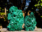 Natural Silky Malachite Specimens x 6 From Kasompe, Congo - Toprock Gemstones and Minerals 