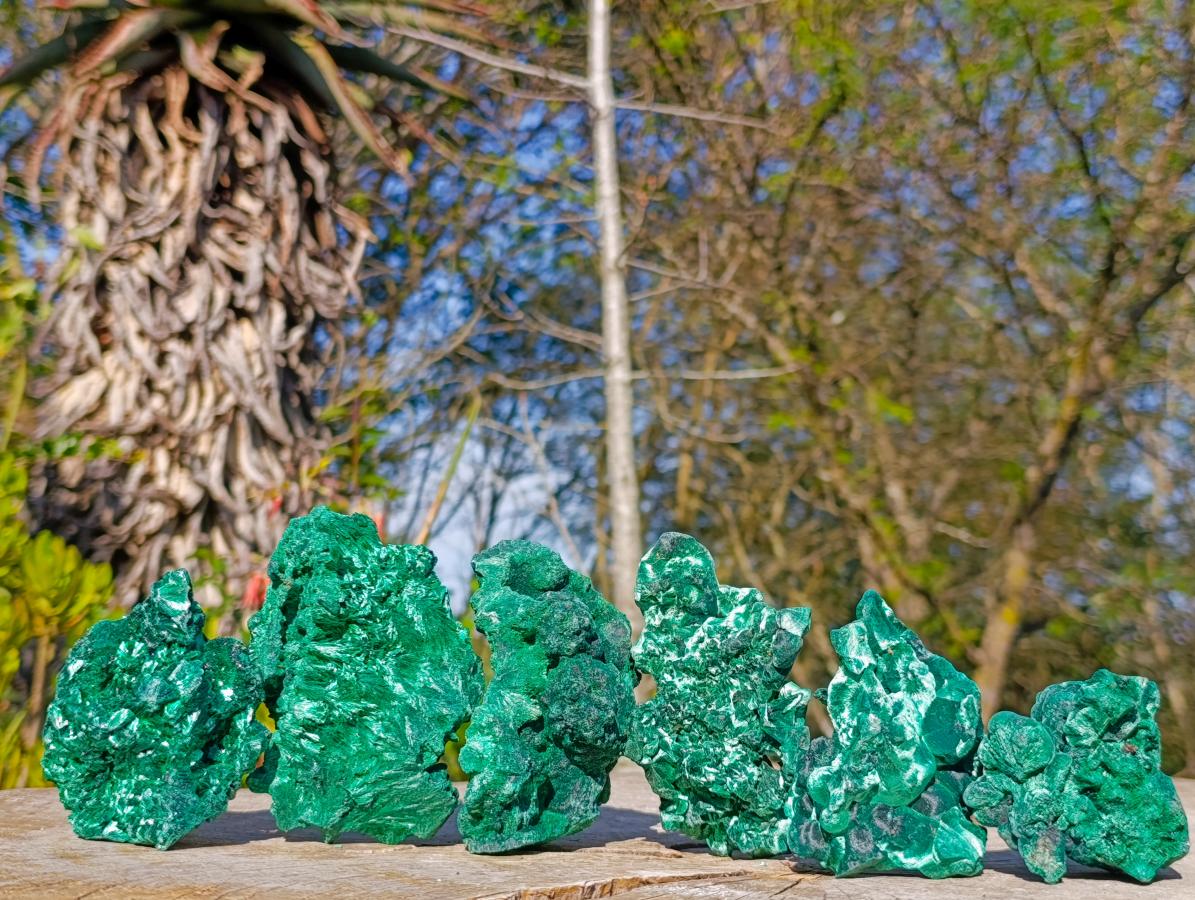 Natural Silky Malachite Specimens x 6 From Kasompe, Congo - Toprock Gemstones and Minerals 