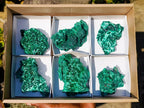 Natural Silky Malachite Specimens x 6 From Kasompe, Congo - Toprock Gemstones and Minerals 