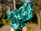 Natural Silky Malachite Specimens x 6 From Kasompe, Congo - Toprock Gemstones and Minerals 