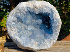 Natural XL Coconut Blue Celestite Geode Specimen x 1 From Sakoany, Madagascar - Toprock Gemstones and Minerals 