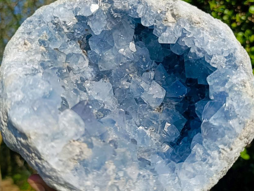 Natural XL Coconut Blue Celestite Geode Specimen x 1 From Sakoany, Madagascar - Toprock Gemstones and Minerals 
