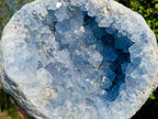 Natural XL Coconut Blue Celestite Geode Specimen x 1 From Sakoany, Madagascar - Toprock Gemstones and Minerals 