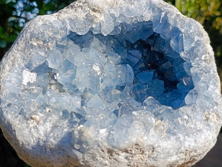 Natural XL Coconut Blue Celestite Geode Specimen x 1 From Sakoany, Madagascar - Toprock Gemstones and Minerals 