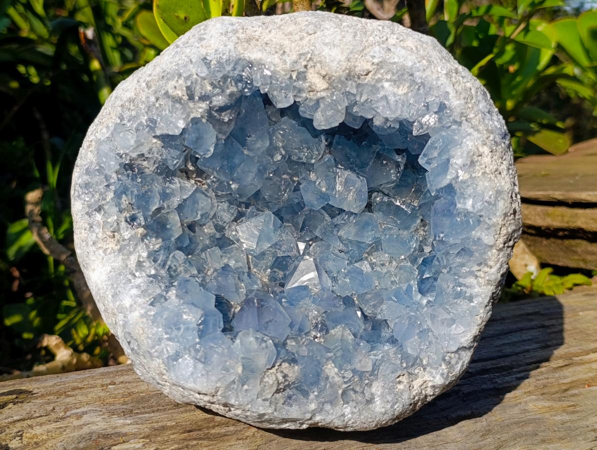 Natural XL Coconut Blue Celestite Geode Specimen x 1 From Sakoany, Madagascar - Toprock Gemstones and Minerals 