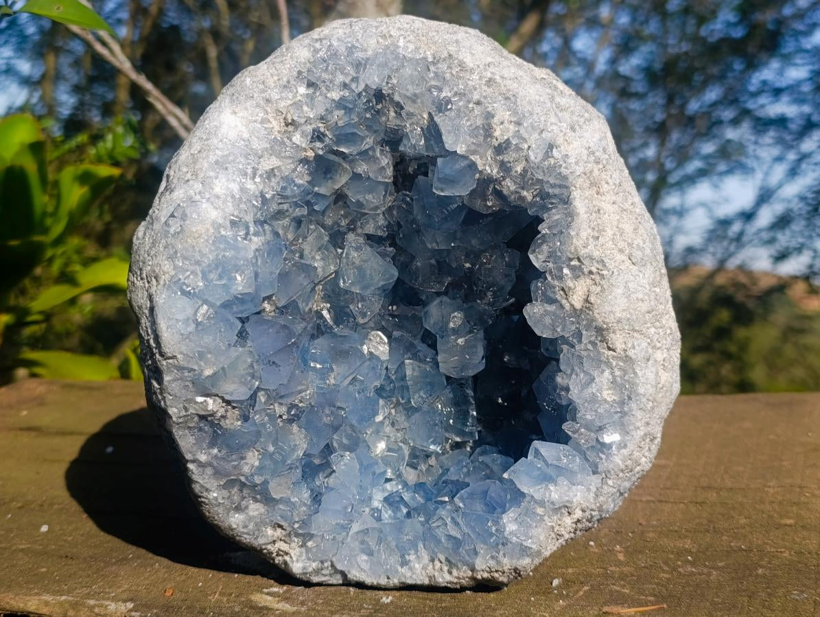Natural XL Coconut Blue Celestite Geode Specimen x 1 From Sakoany, Madagascar - Toprock Gemstones and Minerals 