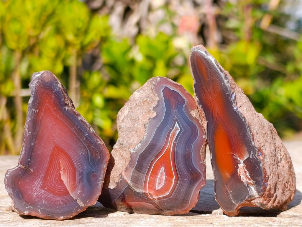 Polished One Side Red Shashe River Agate Nodules x 24 From Shashe River, Zimbabwe - Toprock Gemstones and Minerals 