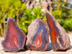 Polished One Side Red Shashe River Agate Nodules x 24 From Shashe River, Zimbabwe - Toprock Gemstones and Minerals 