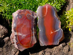 Polished One Side Red Shashe River Agate Nodules x 24 From Shashe River, Zimbabwe - Toprock Gemstones and Minerals 