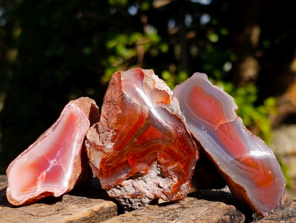 Polished One Side Red Shashe River Agate Nodules x 24 From Shashe River, Zimbabwe - Toprock Gemstones and Minerals 
