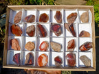 Polished One Side Red Shashe River Agate Nodules x 24 From Shashe River, Zimbabwe - Toprock Gemstones and Minerals 