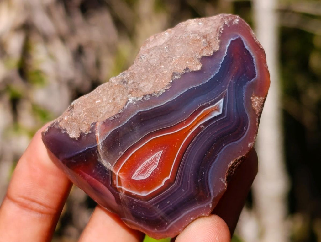 Polished One Side Red Shashe River Agate Nodules x 24 From Shashe River, Zimbabwe - Toprock Gemstones and Minerals 