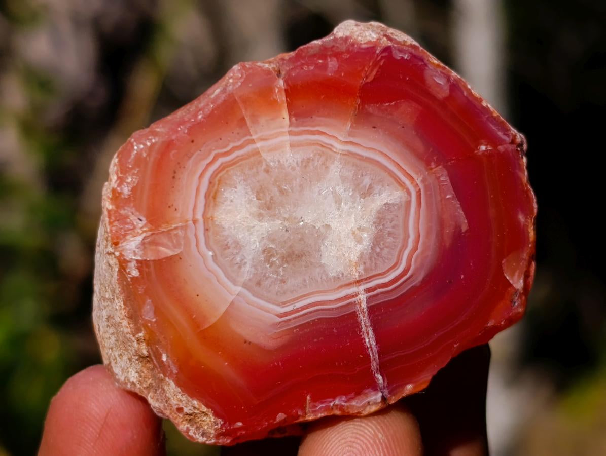 Polished One Side Red Shashe River Agate Nodules x 24 From Shashe River, Zimbabwe - Toprock Gemstones and Minerals 