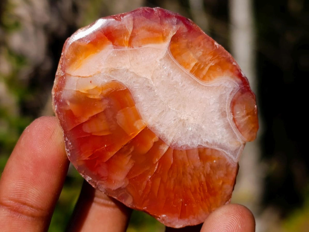 Polished One Side Red Shashe River Agate Nodules x 24 From Shashe River, Zimbabwe - Toprock Gemstones and Minerals 