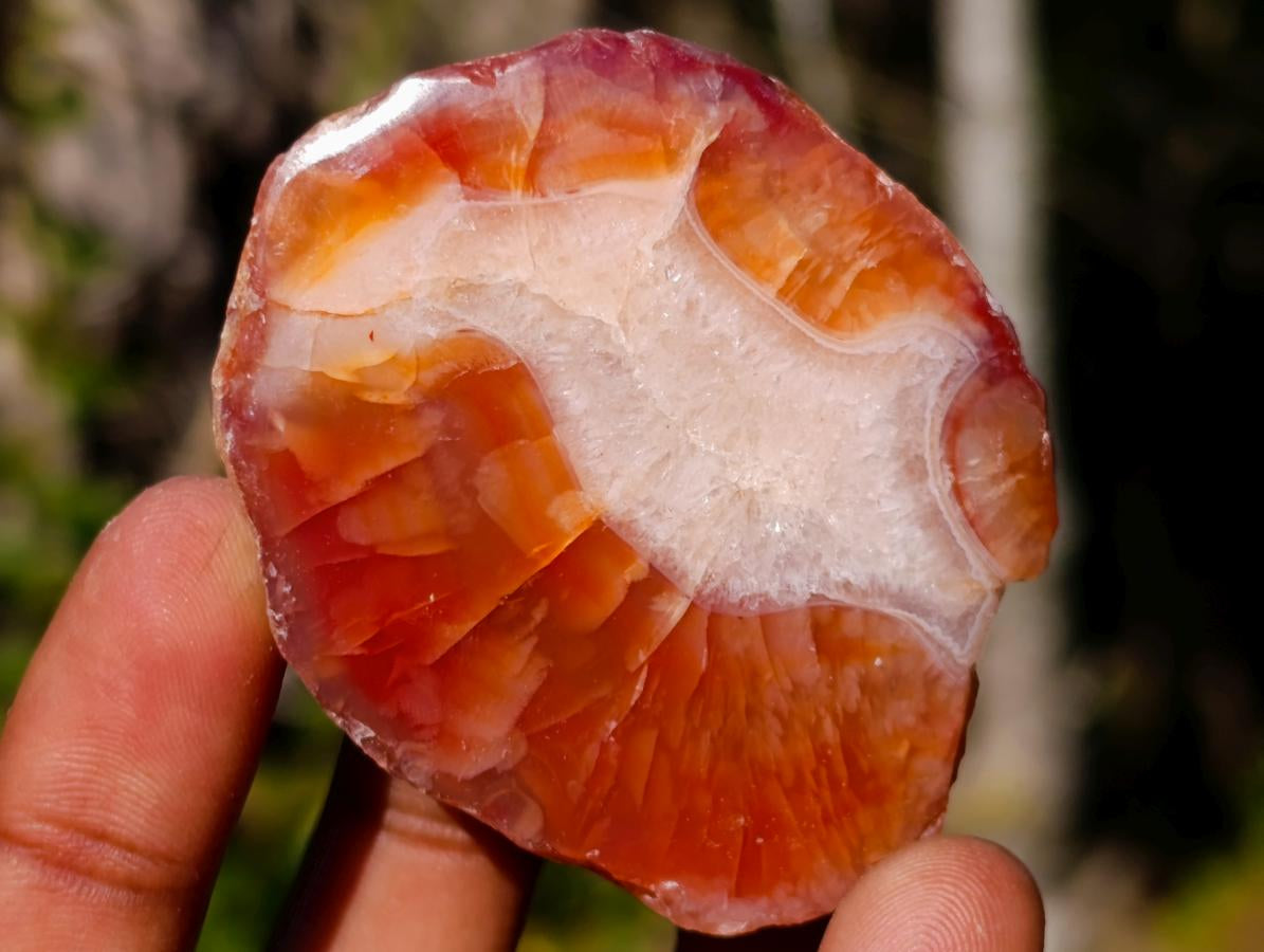 Polished One Side Red Shashe River Agate Nodules x 24 From Shashe River, Zimbabwe - Toprock Gemstones and Minerals 