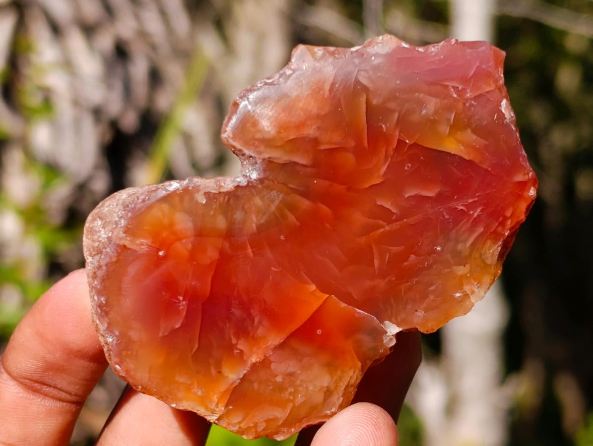 Polished One Side Red Shashe River Agate Nodules x 24 From Shashe River, Zimbabwe - Toprock Gemstones and Minerals 