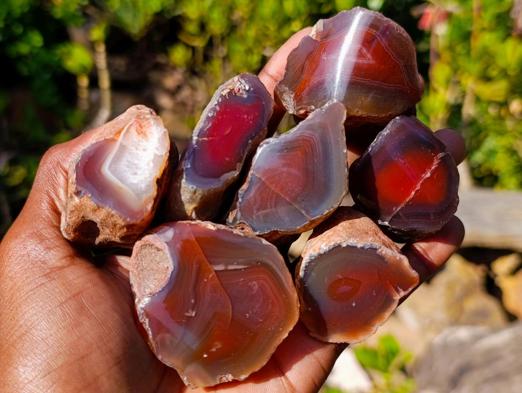 Polished One Side Red Shashe River Agate Nodules x 24 From Shashe River, Zimbabwe - Toprock Gemstones and Minerals 