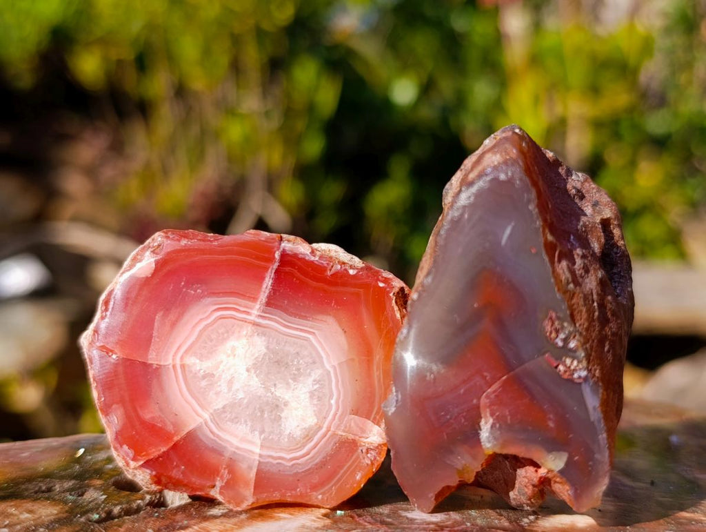 Polished One Side Red Shashe River Agate Nodules x 24 From Shashe River, Zimbabwe - Toprock Gemstones and Minerals 