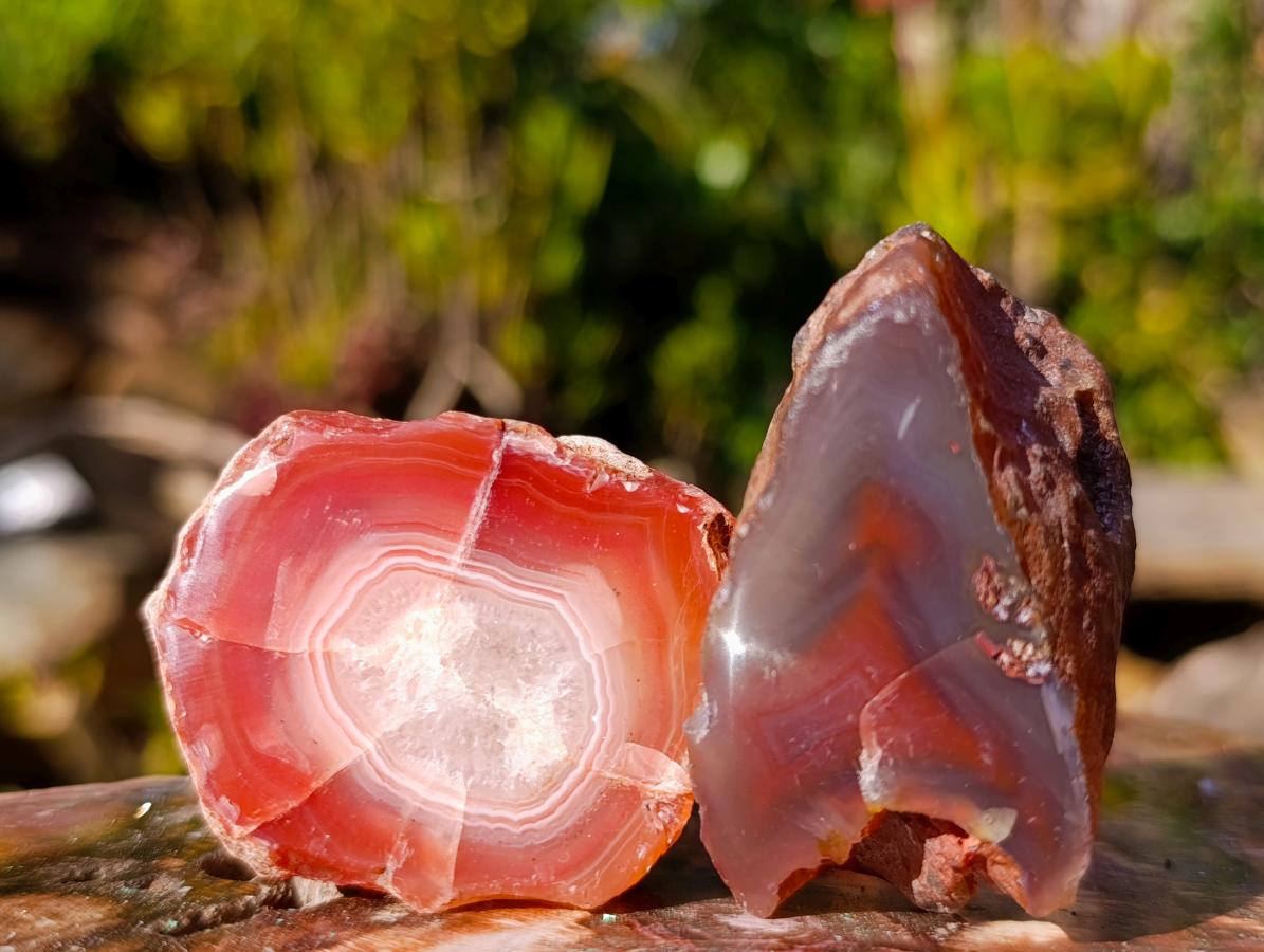 Polished One Side Red Shashe River Agate Nodules x 24 From Shashe River, Zimbabwe - Toprock Gemstones and Minerals 