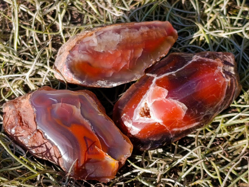 Polished One Side Red Shashe River Agate Nodules x 24 From Shashe River, Zimbabwe - Toprock Gemstones and Minerals 