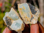 Natural Rare Aquamarine in Black Tourmaline Specimens x 70 From Karibib, Namibia - Toprock Gemstones and Minerals 