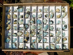 Natural Rare Aquamarine in Black Tourmaline Specimens x 70 From Karibib, Namibia - Toprock Gemstones and Minerals 