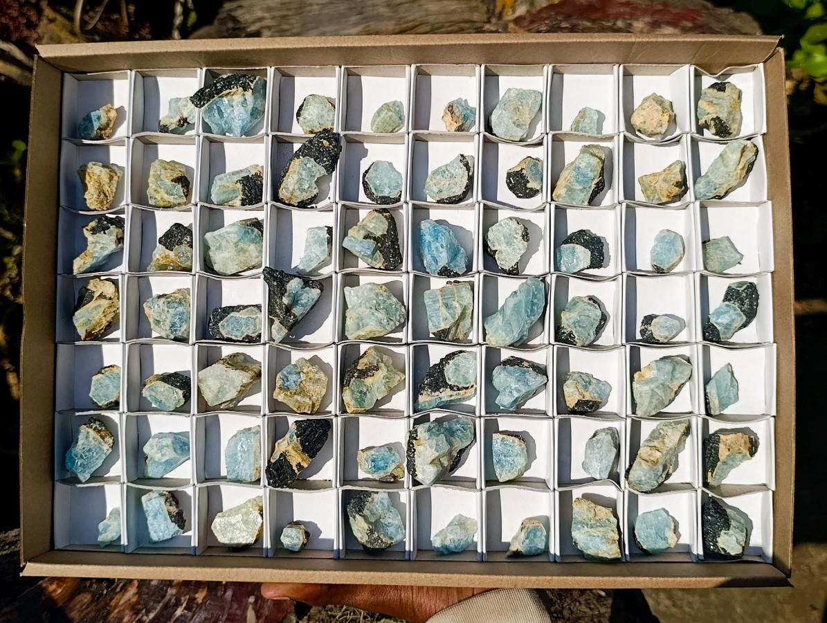 Natural Rare Aquamarine in Black Tourmaline Specimens x 70 From Karibib, Namibia - Toprock Gemstones and Minerals 