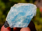 Natural Rare Aquamarine in Black Tourmaline Specimens x 70 From Karibib, Namibia - Toprock Gemstones and Minerals 