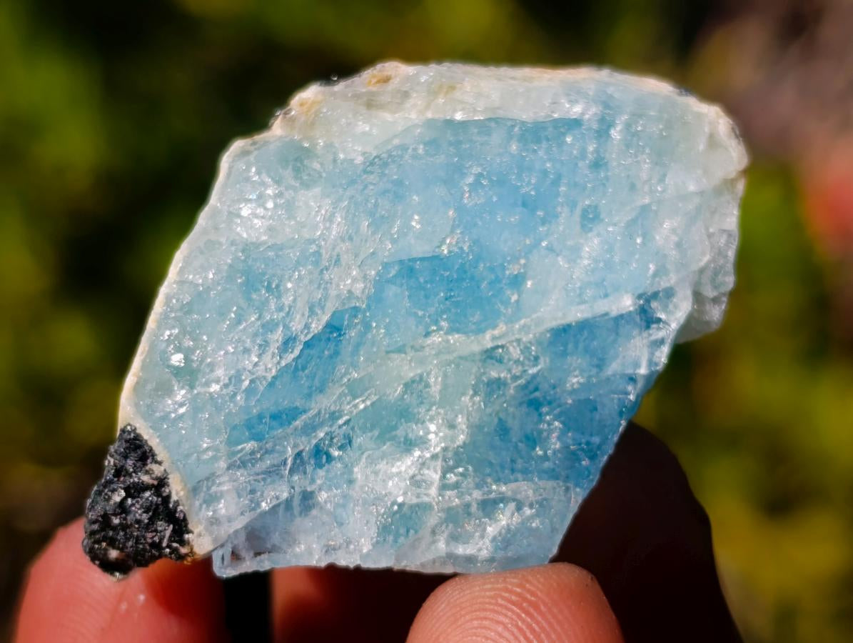 Natural Rare Aquamarine in Black Tourmaline Specimens x 70 From Karibib, Namibia - Toprock Gemstones and Minerals 
